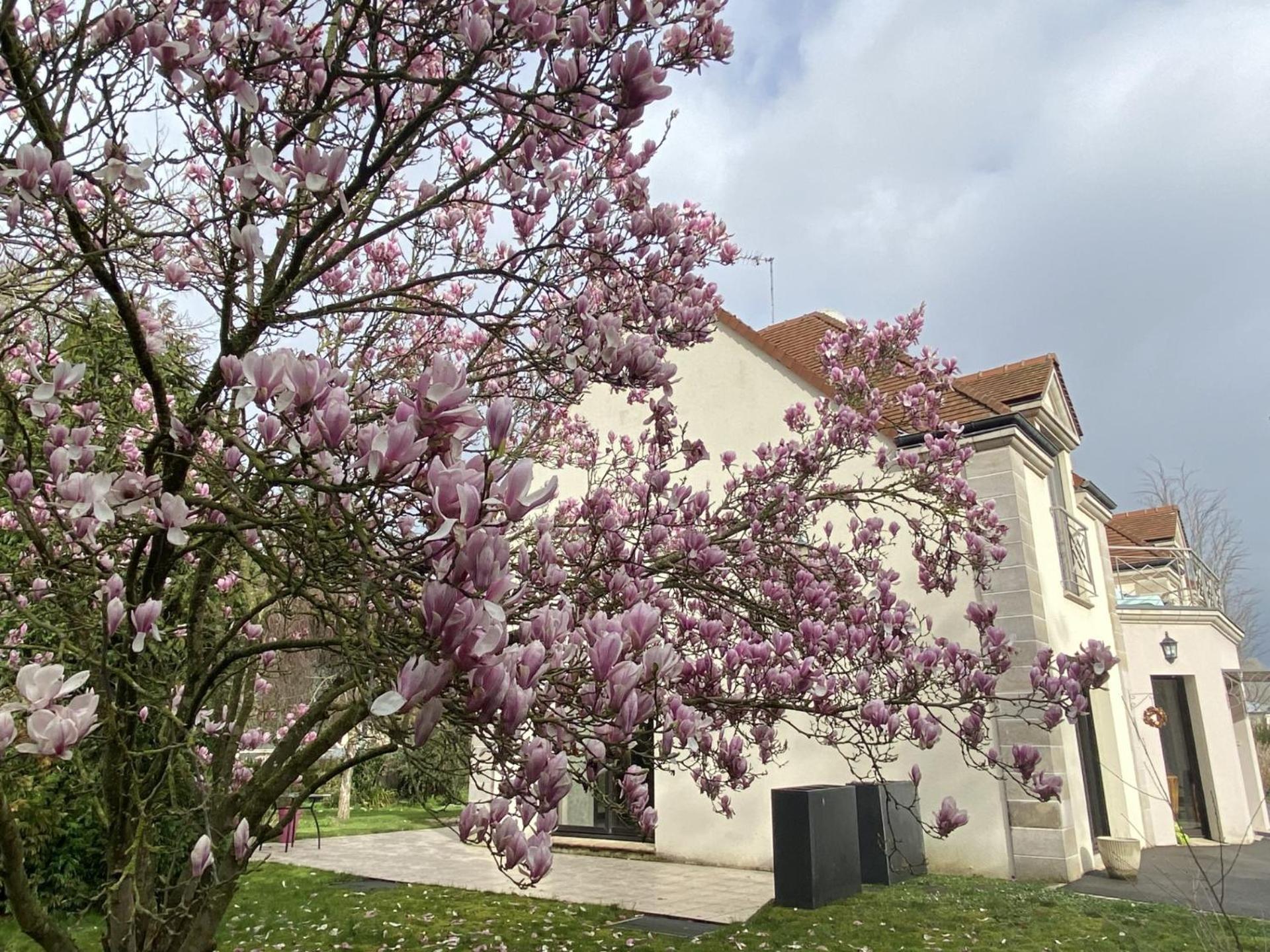 L'Orée du Mont Pontorson Esterno foto